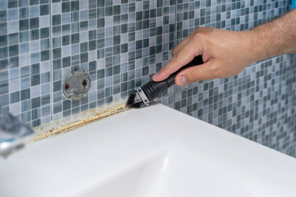 Best Attic Mold Removal  in Lovington, IL